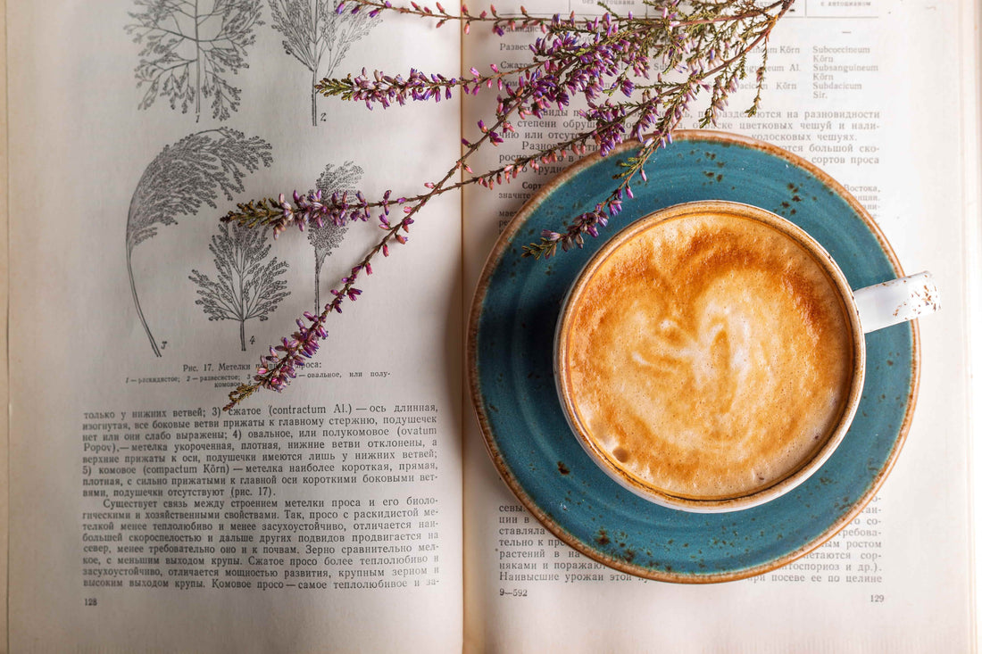 How To Start a Cafe: A Beginners Guide