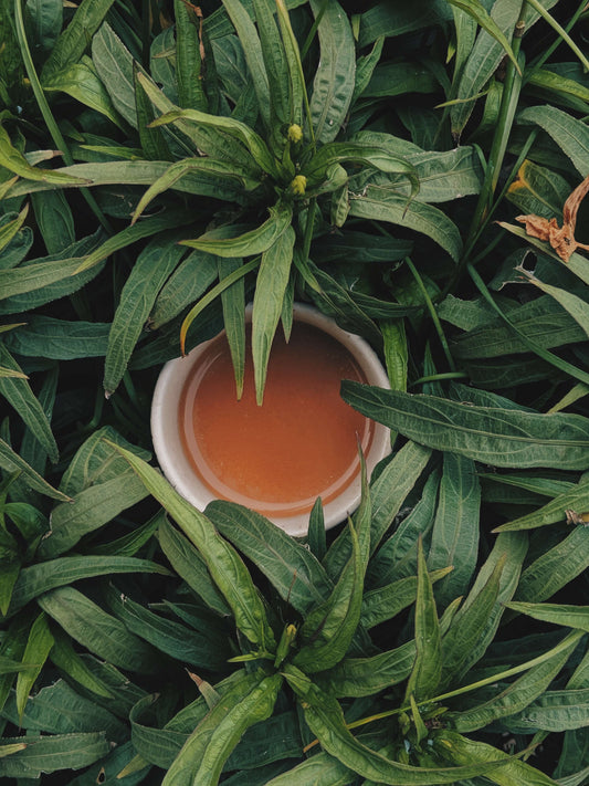 kava drink and leaves